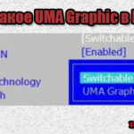 что такое UMA Graphic
