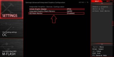 что такое igd multi-monitor